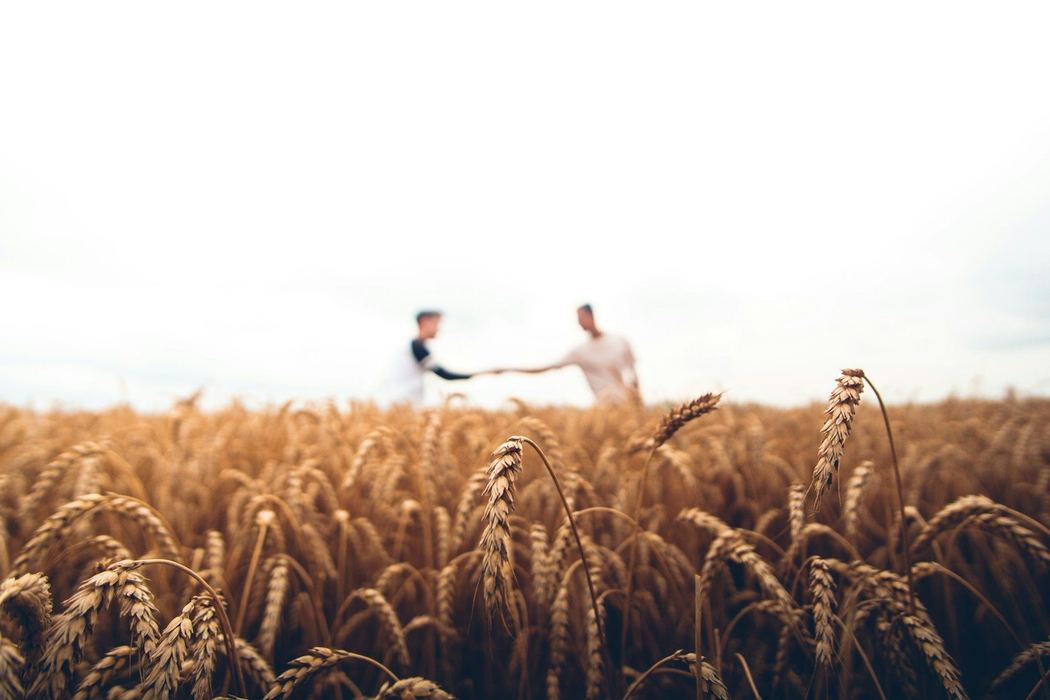 Agriculture Field Management Platform