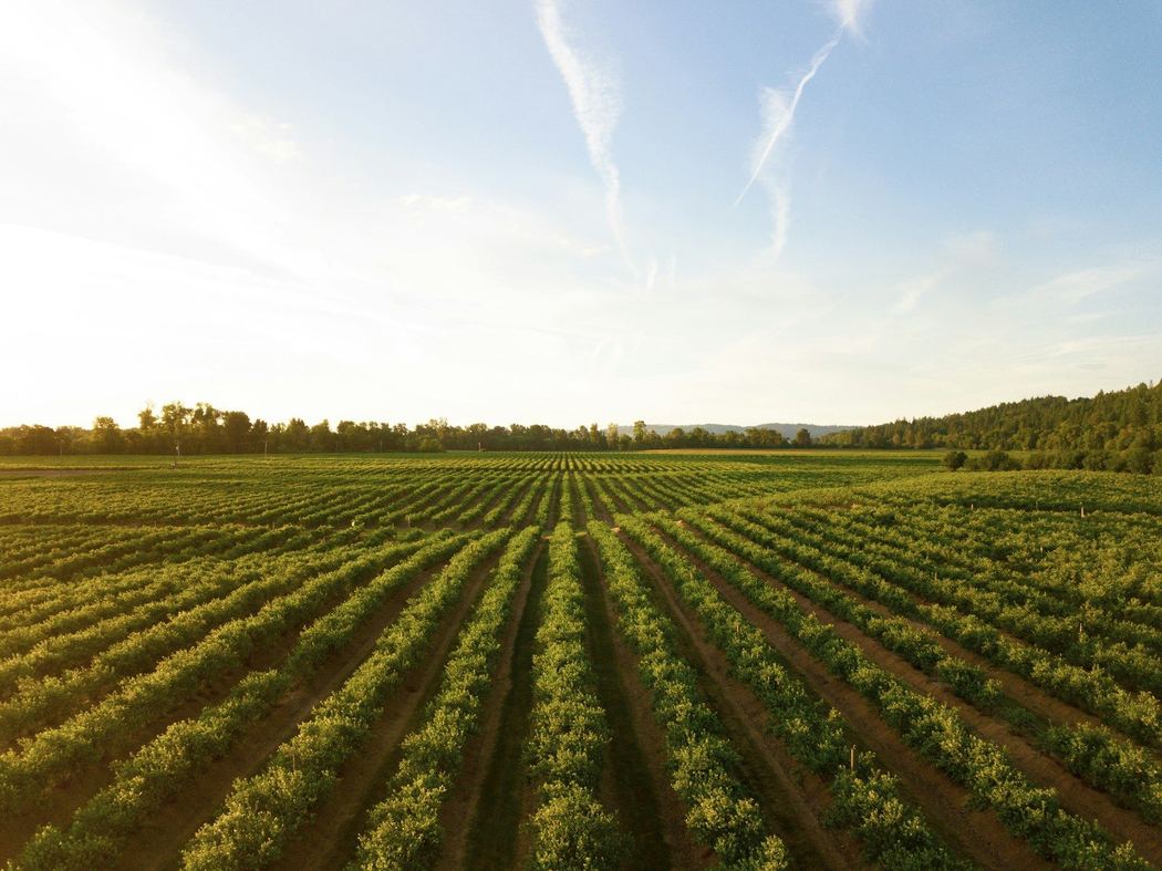 Agriculture Software